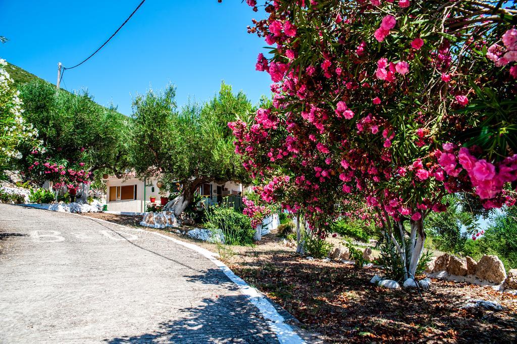 Rogakia Village Est. 1983 Zola Екстер'єр фото